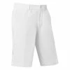 Jlindeberg J.Lindeberg Stuart Stripe Golf Shorts