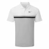 Nike Dry Victory Colourblock Golf Polo Shirt